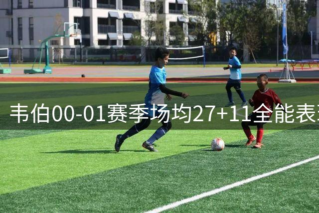 韦伯00-01赛季场均27+11全能表现