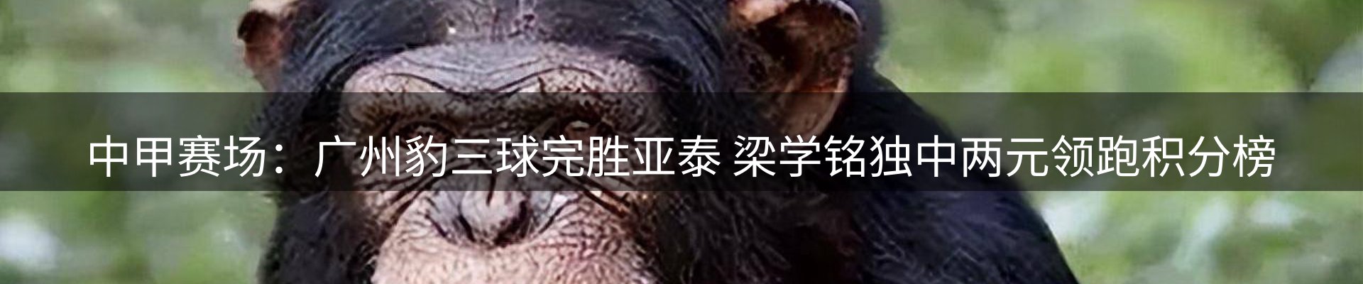 资讯一览