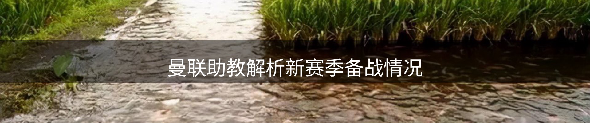 ued要闻