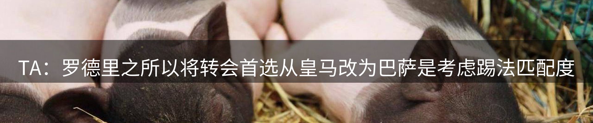 ued要闻